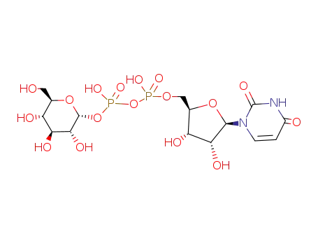 UDP-glucose