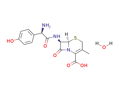 cefadroxil monohydrate
