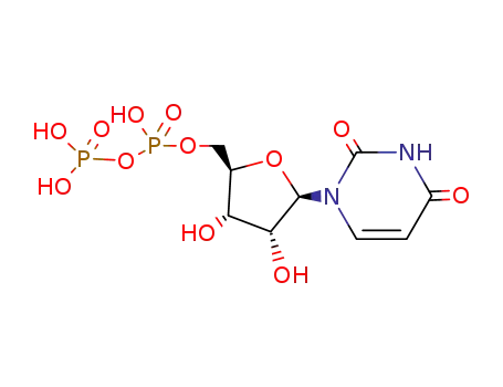 UDP